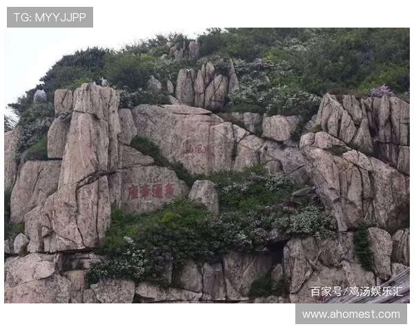 姚明玻璃栈道探秘:挑战极限体验与壮丽风景的完美结合